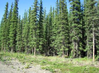 L16-B9 Blackburn St, Tok, AK 99780