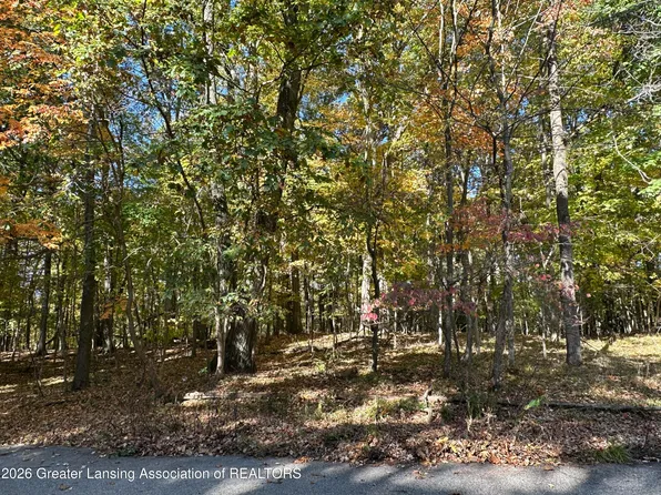 4103 Van Atta Rd, Okemos, MI 48864