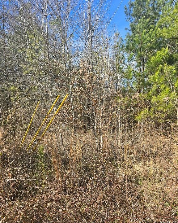 2nd image of 16 Timbertop Ln