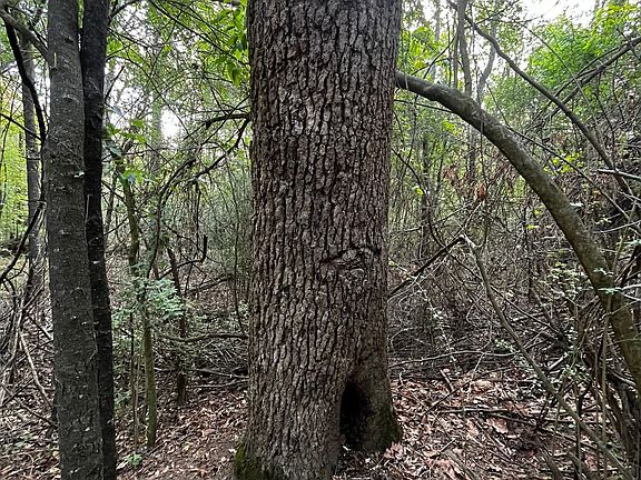 Photo Apr 01 2026 8 15 33 Am