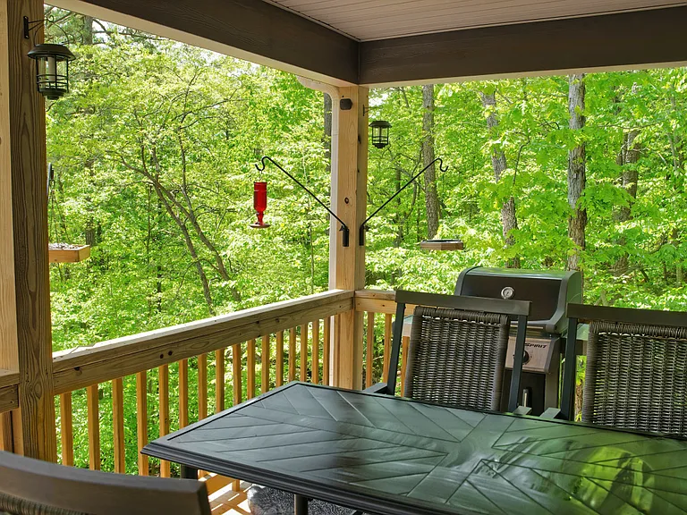 Back Deck