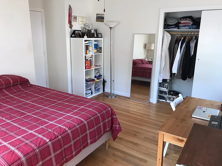 Large Bedroom: Closet and entrance door