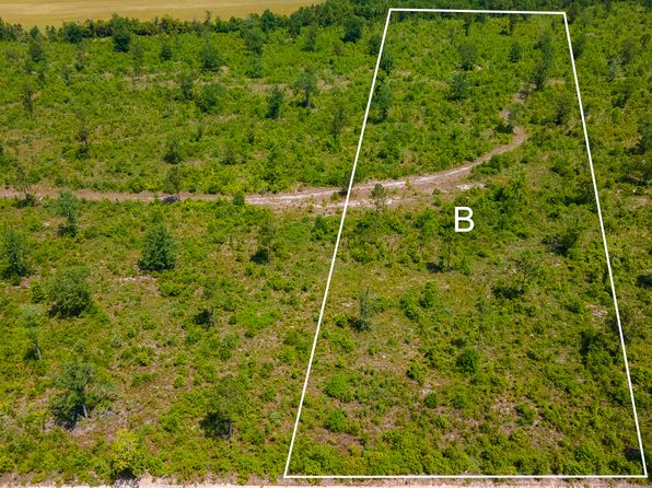 LOT 12 Old Shoals Rd, Monetta, SC 29105