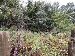 2nd image of 31 Amber Rdg #31