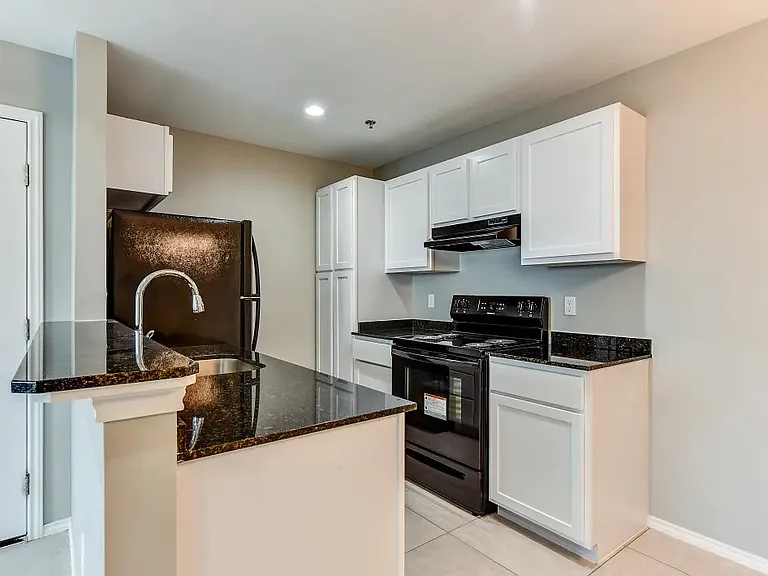1208 N Mile 1 E #807 — Photo 4
