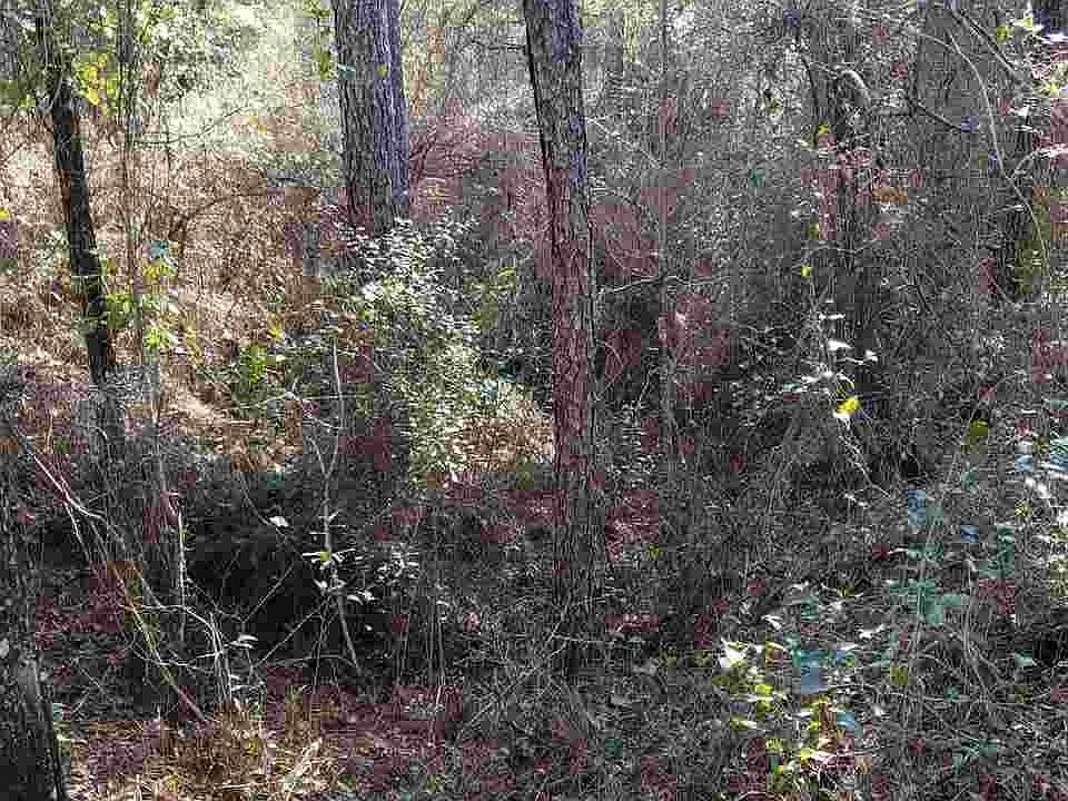 1st image of 6 Decey Wallace Ln
