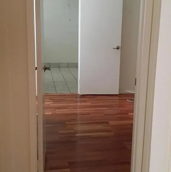 4875 Colony Dr — Photo 19