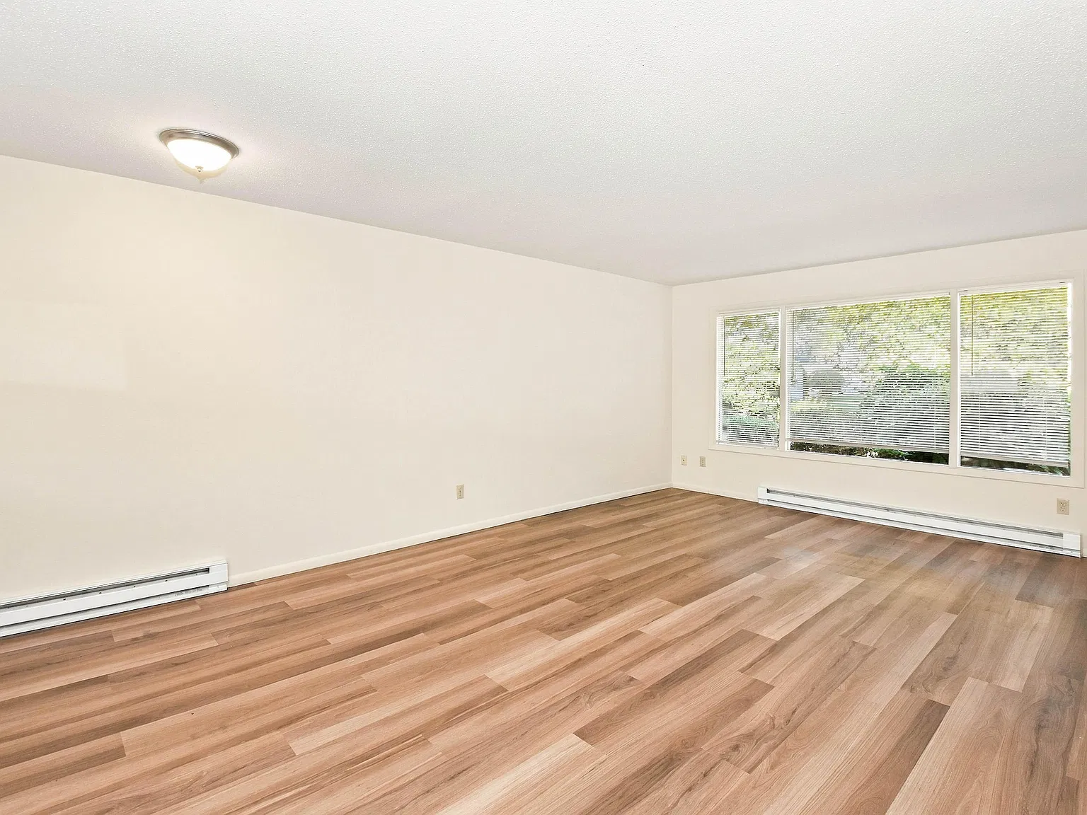 2 bed, 1.0 bath, 836 sqft, $1,650 — Photo 4