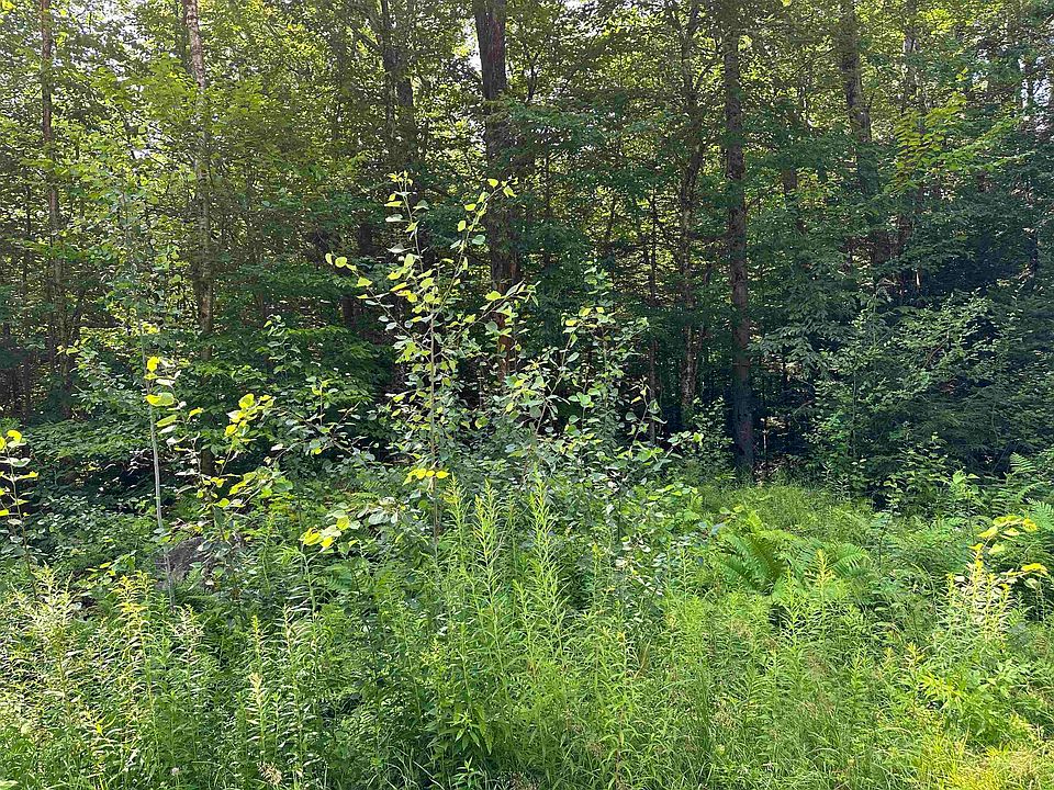 2nd image of 107 Wheeler Road