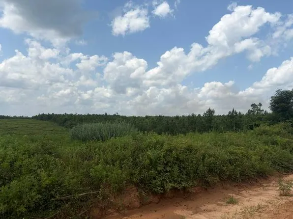 0 Pond Creek Rd #1, Luverne, AL 36049