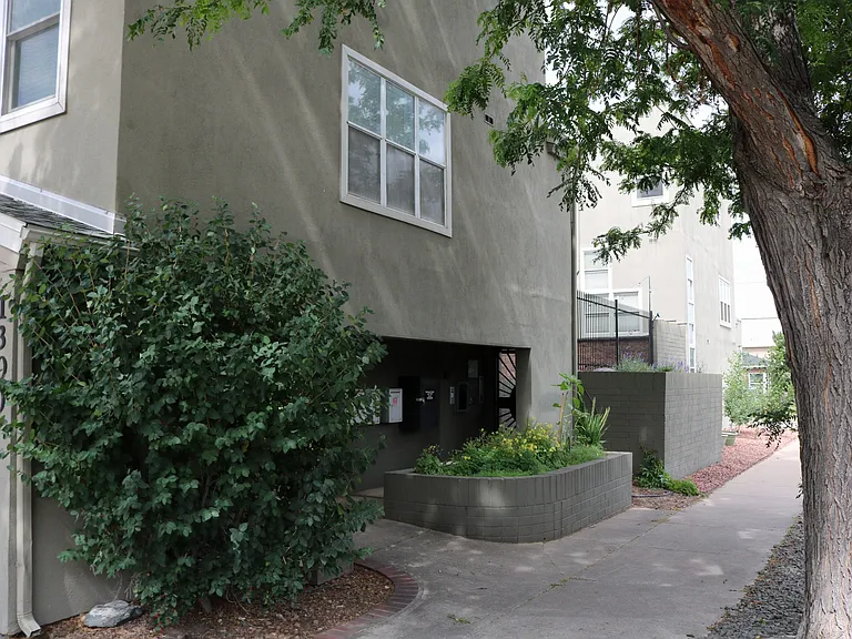 1300 Garfield St #8 — Photo 15