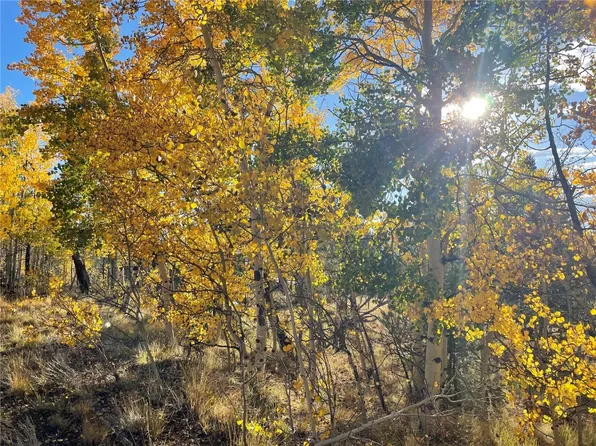 1314 Caracara Ln, Como, CO 80432