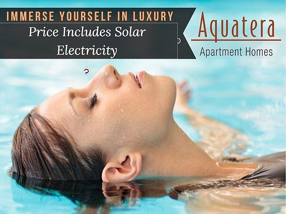 Solar Electricity Allotment