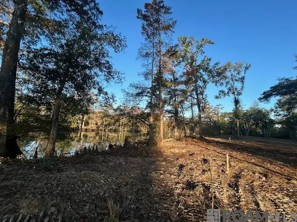 14263 Old River Rd, Maurepas, LA 70449