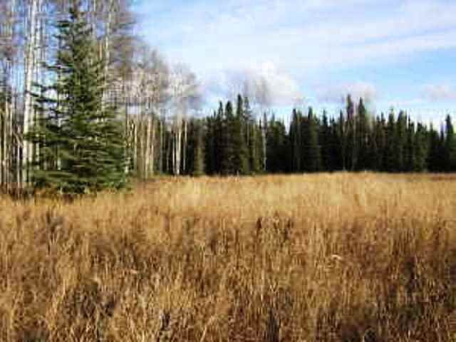 1st image of 67.5 Parks Hwy