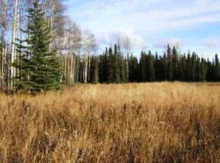 67.5 Parks Hwy, Willow, AK 99688