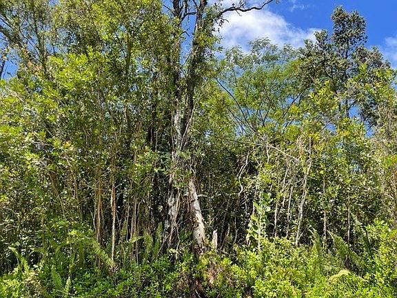 3rd image of 23rd Avenue Naupaka Lot 233