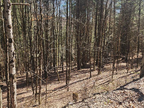 5th image of 114 Tarbell Hill Rd
