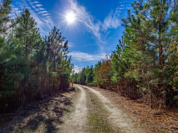 McKays Bridge Rd, Little Rock, SC 29567