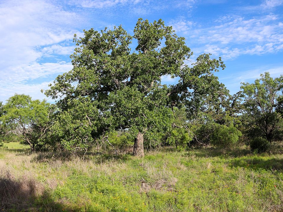 1st image of Oak Ridge Trl