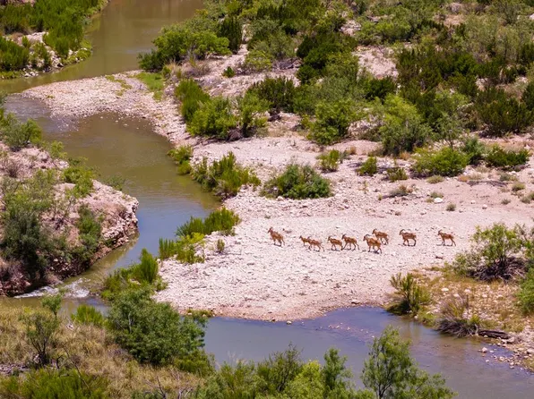 4200 County Road 411, Ozona, TX 76943