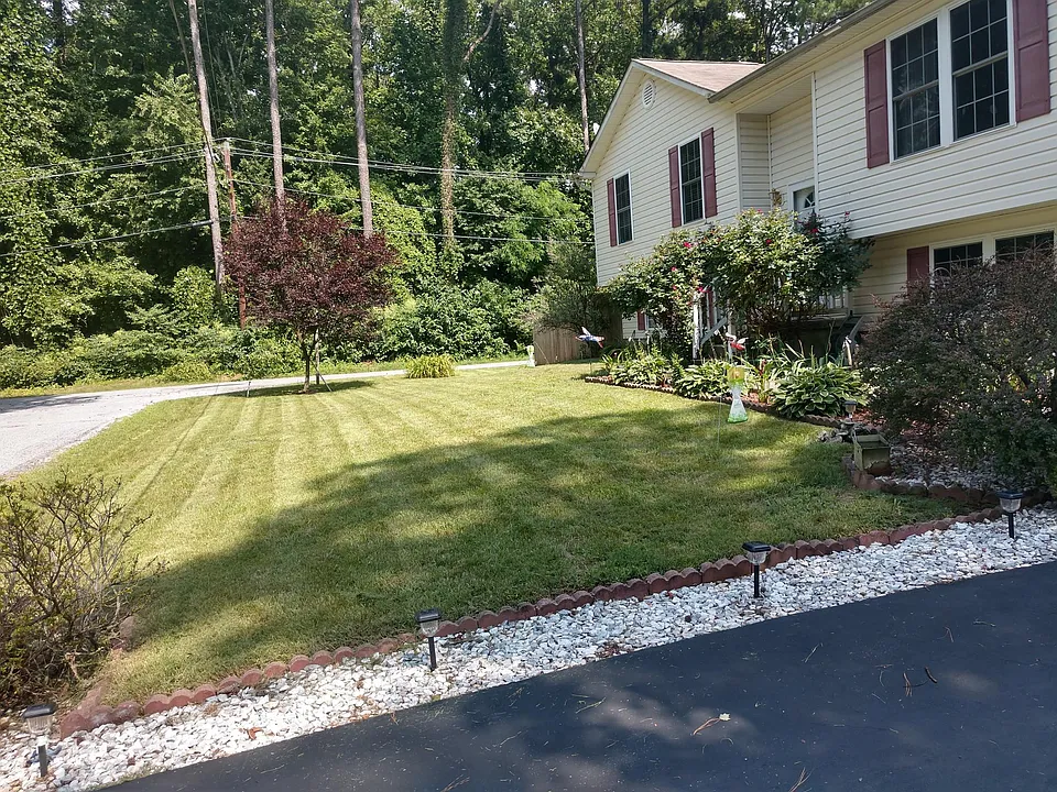 Front yard
