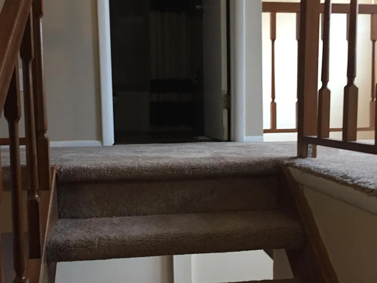 Willow Run Dr — Photo 14