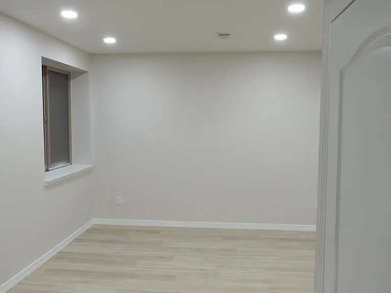 Basement Living area