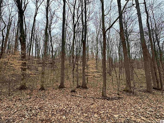 4th image of 0 Periwinkle Hill Rd