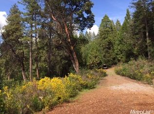 3240 Chipmunk Trl, Georgetown, CA 95634