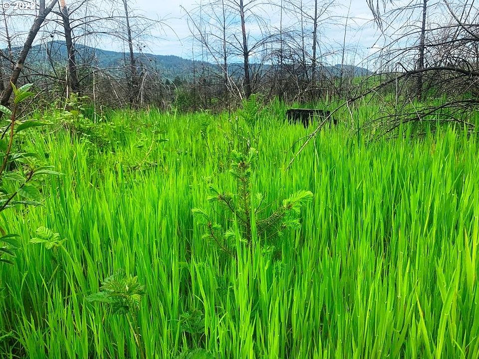 0 Pioneer Rd, Mill City, OR 97360 MLS 22059394 Zillow