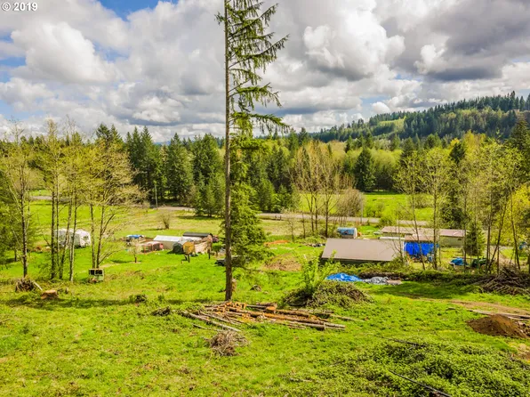 18110 NE Cedar Creek Rd, Amboy, WA 98601