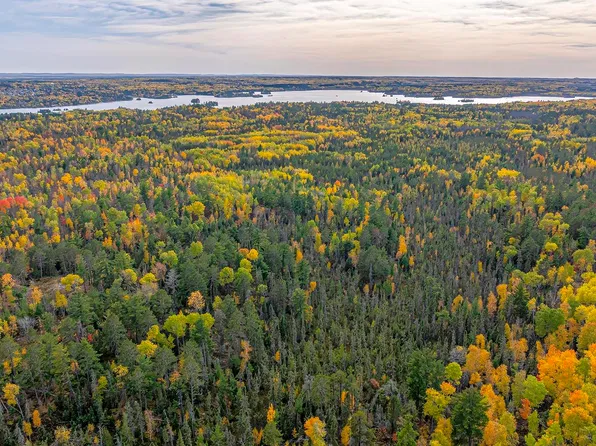 1668 Golden Ridge Tr, Ely, MN 55731