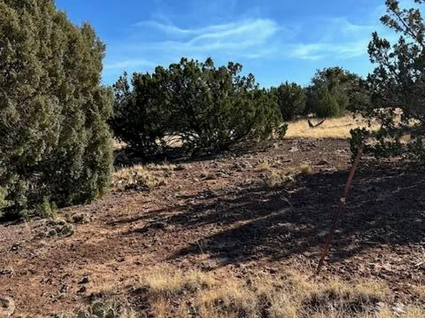 8429 Navajo Dr, Show Low, AZ 85901