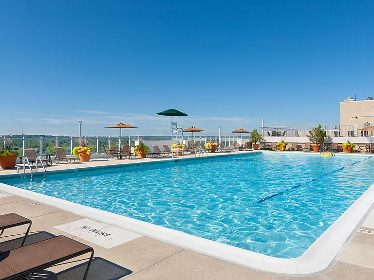 Enjoy a nice pool day with amazing views from the rooftop