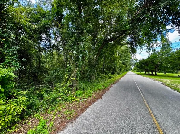 Vacant Luther Wilson Rd, Greenville, FL 32331