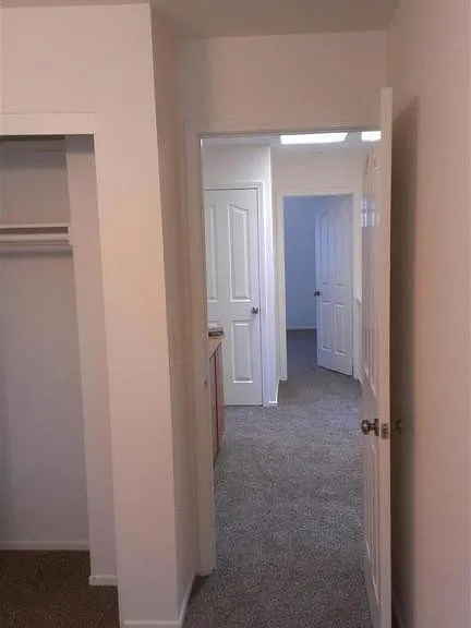 4117 Lost Springs Dr — Photo 21
