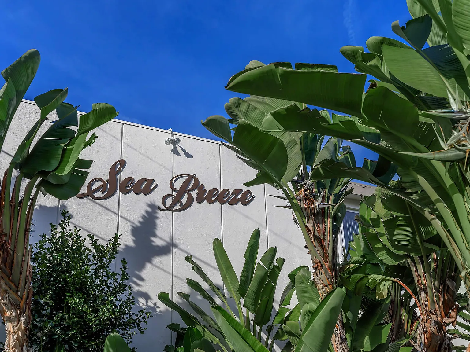 Sea Breeze Beach Apartments — Photo 2