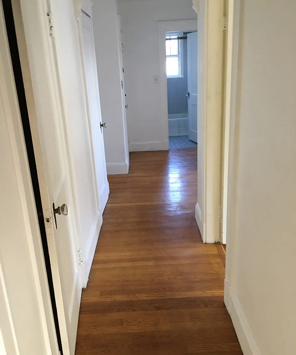 1 bed, 560 sqft, $1,590 — Photo 3
