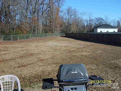 Back yard