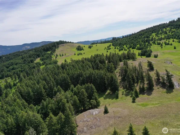 37 Turner Homestead Rd, Oroville, WA 98844