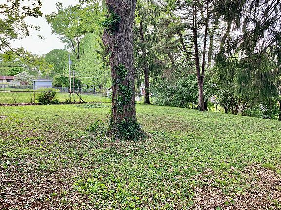 Large backyard with fence