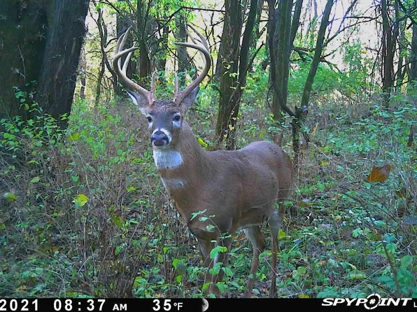 15th St, Blakesburg, IA 52536