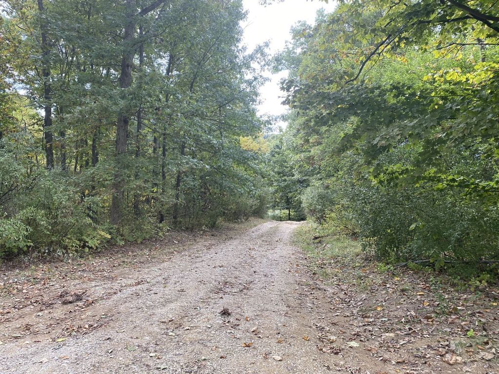 Real estate listing image