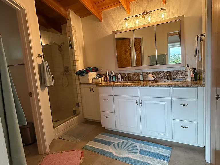 Master bathroom