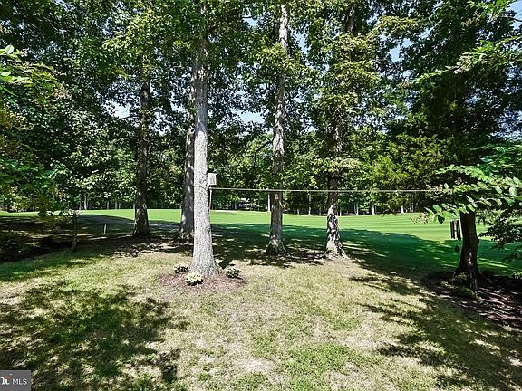 Beautful, scenic back yard view from house