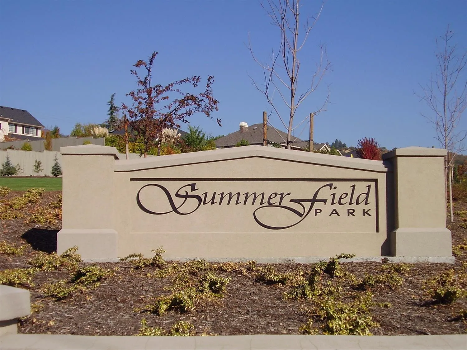 3820 Sunleaf Ave photo 1