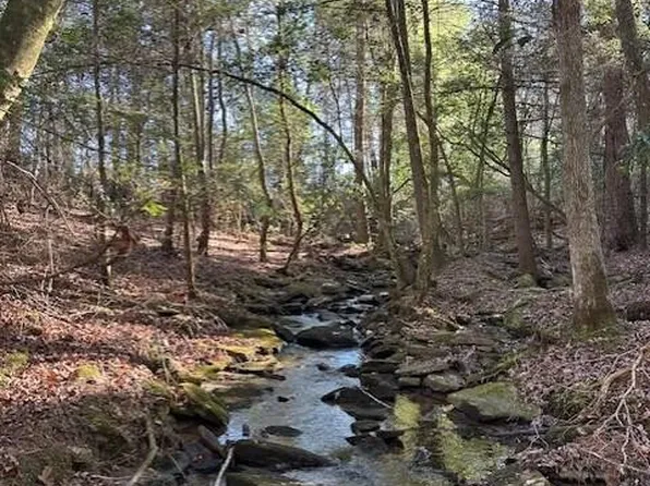 6 50th Ave, Gruetli Laager, TN 37339