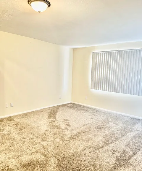 11801 N Coggins Dr — Photo 19