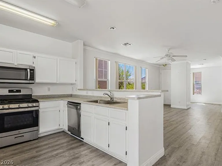 2520 Bottle Palm Ct — Photo 11